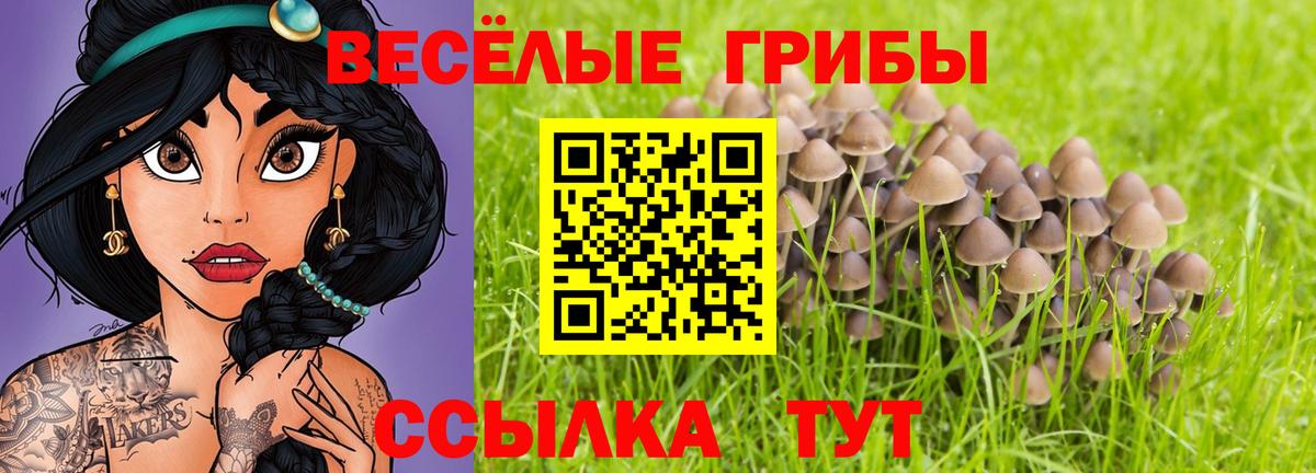 Десногорск  Галлюциногенные грибы Psilocybine cubensis  Вход с VPN 